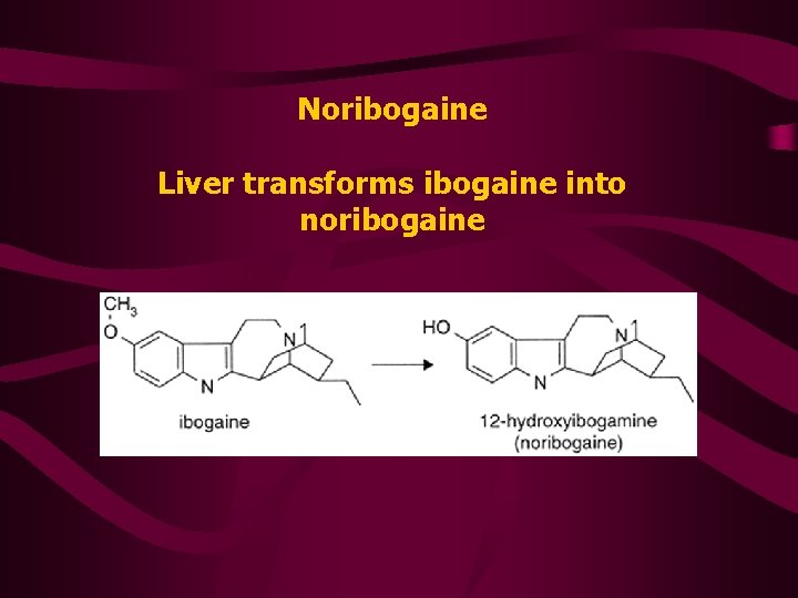 Noribogaine Liver transforms ibogaine into noribogaine 