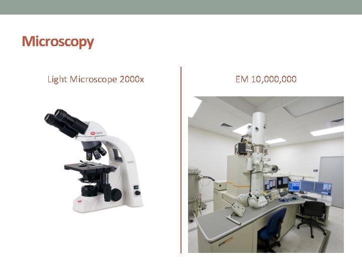 Microscopy Light Microscope 2000 x EM 10, 000 
