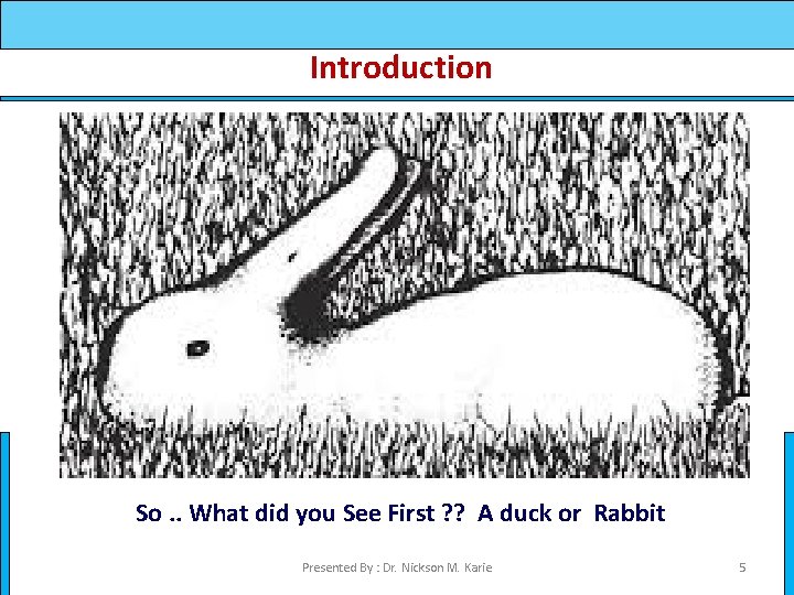 Introduction So. . What did you See First ? ? A duck or Rabbit