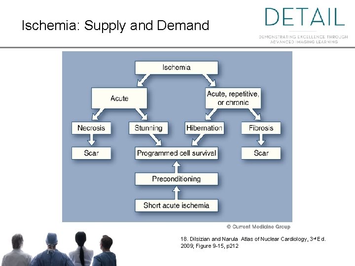 Ischemia: Supply and Demand 18. Dilsizian and Narula Atlas of Nuclear Cardiology, 3 rd