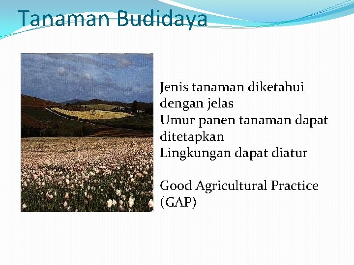 Tanaman Budidaya Jenis tanaman diketahui dengan jelas Umur panen tanaman dapat ditetapkan Lingkungan dapat