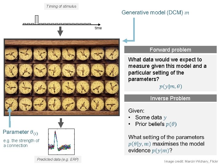 Timing of stimulus time Forward problem What data would we expect to measure given