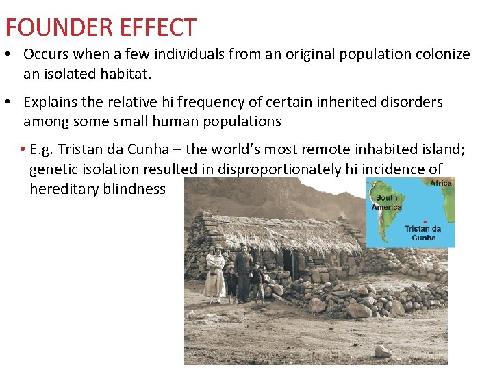 FOUNDER EFFECT • Occurs when a few individuals from an original population colonize an