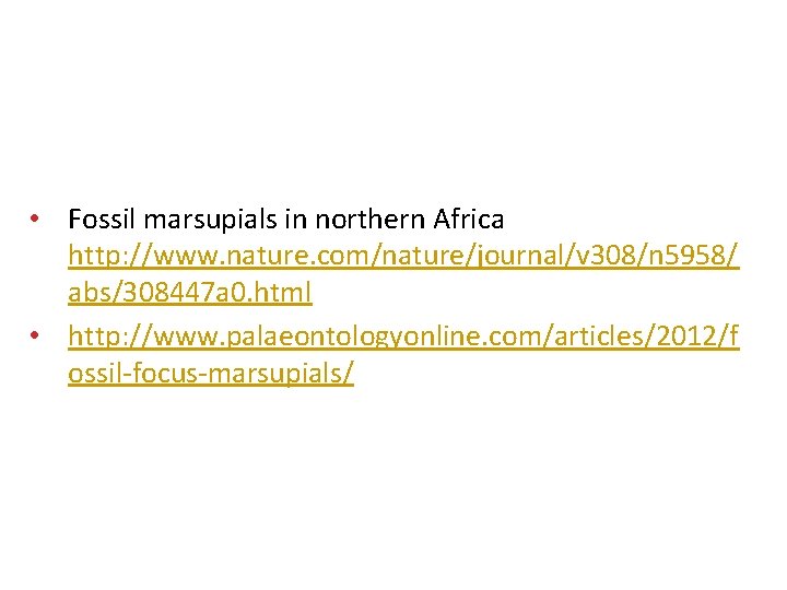  • Fossil marsupials in northern Africa http: //www. nature. com/nature/journal/v 308/n 5958/ abs/308447