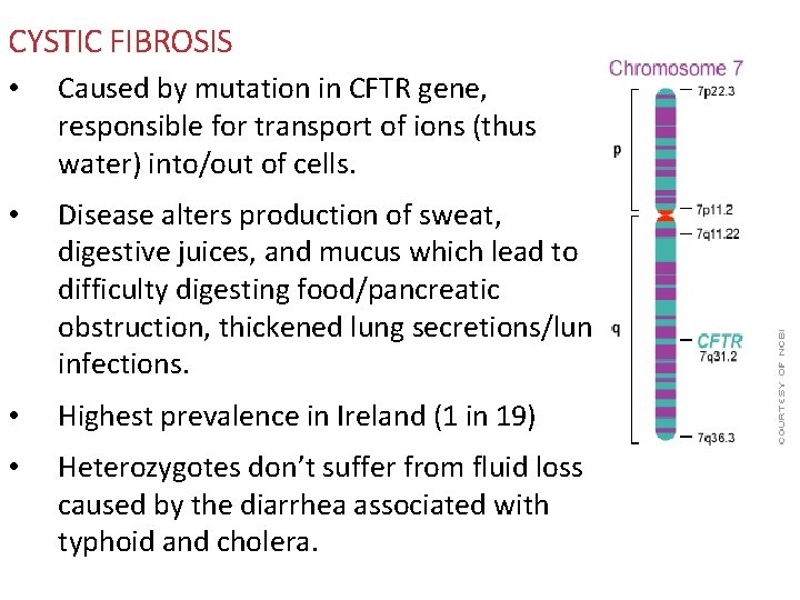 CYSTIC FIBROSIS • Caused by mutation in CFTR gene, responsible for transport of ions