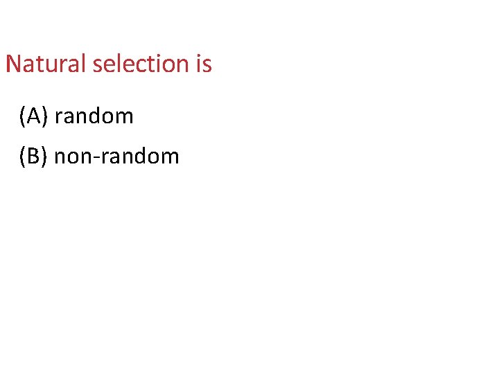 Natural selection is (A) random (B) non-random 