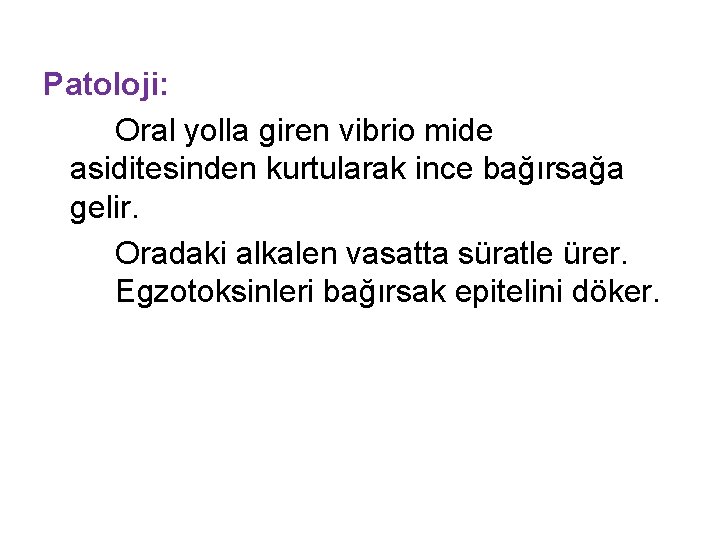 Patoloji: Oral yolla giren vibrio mide asiditesinden kurtularak ince bağırsağa gelir. Oradaki alkalen vasatta