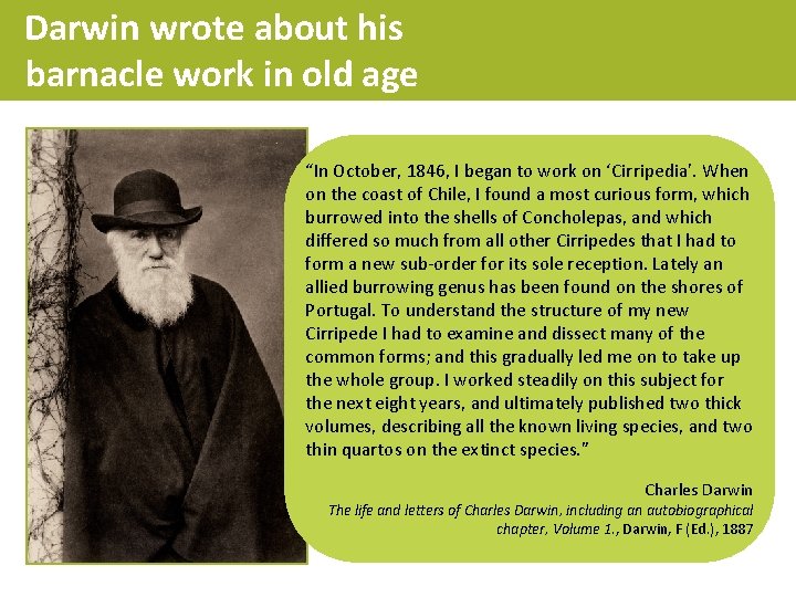 Darwin wrote about his barnacle work in old age “In October, 1846, I began