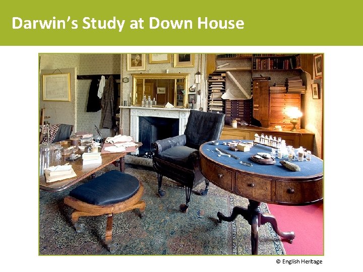 Darwin’s Study at Down House © English Heritage 