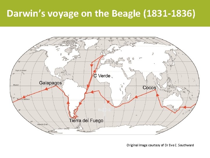 Darwin’s voyage on the Beagle (1831 -1836) Original image courtesy of Dr Eve C.