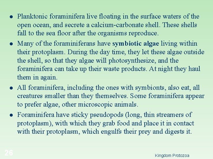 l l 26 Planktonic foraminifera live floating in the surface waters of the open