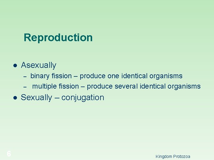 Reproduction l Asexually – – l 6 binary fission – produce one identical organisms