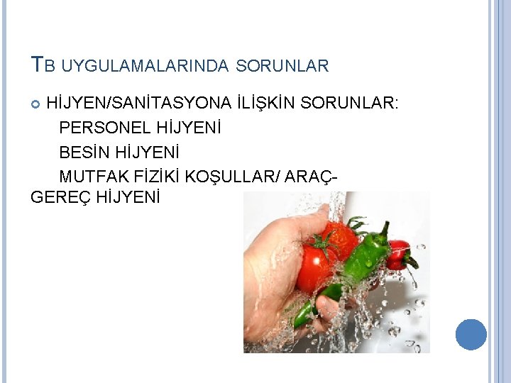 TB UYGULAMALARINDA SORUNLAR HİJYEN/SANİTASYONA İLİŞKİN SORUNLAR: PERSONEL HİJYENİ BESİN HİJYENİ MUTFAK FİZİKİ KOŞULLAR/ ARAÇGEREÇ