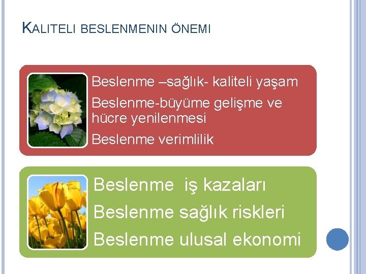 KALITELI BESLENMENIN ÖNEMI Beslenme –sağlık- kaliteli yaşam Beslenme-büyüme gelişme ve hücre yenilenmesi Beslenme verimlilik