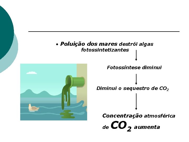  • Poluição dos mares destrói algas fotossintetizantes Fotossíntese diminui Diminui o sequestro de