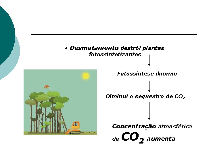  • Desmatamento destrói plantas fotossintetizantes Fotossíntese diminui Diminui o sequestro de CO 2