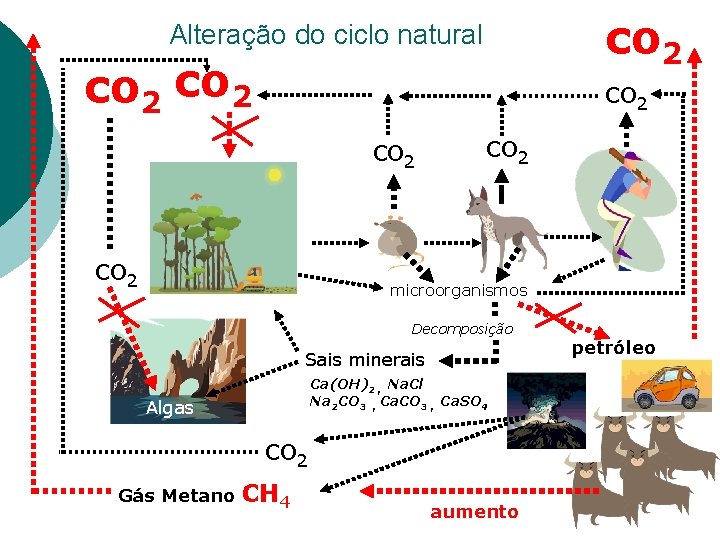 co 2 Alteração do ciclo natural co 2 co 2 microorganismos Decomposição Sais minerais