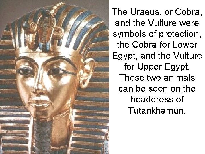 The Uraeus, or Cobra, and the Vulture were symbols of protection, the Cobra for