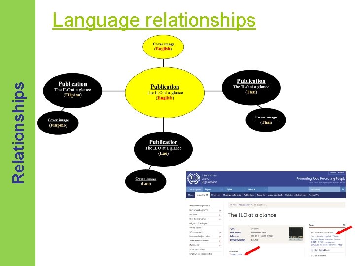 Relationships Language relationships 