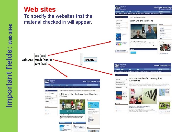 Important fields: Web sites To specify the websites that the material checked in will