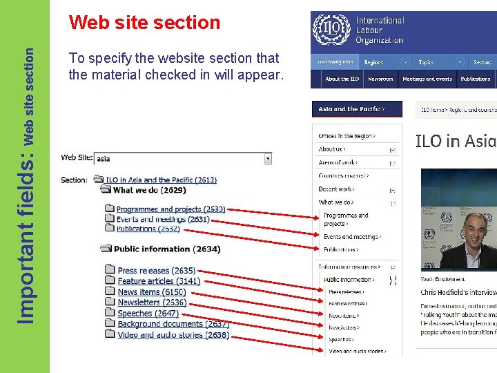 Important fields: Web site section To specify the website section that the material checked