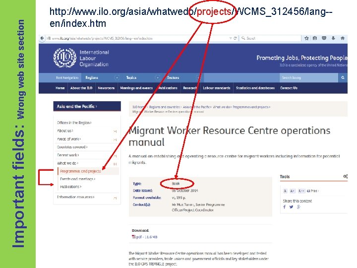 Important fields: Wrong web site section http: //www. ilo. org/asia/whatwedo/projects/WCMS_312456/lang-en/index. htm 