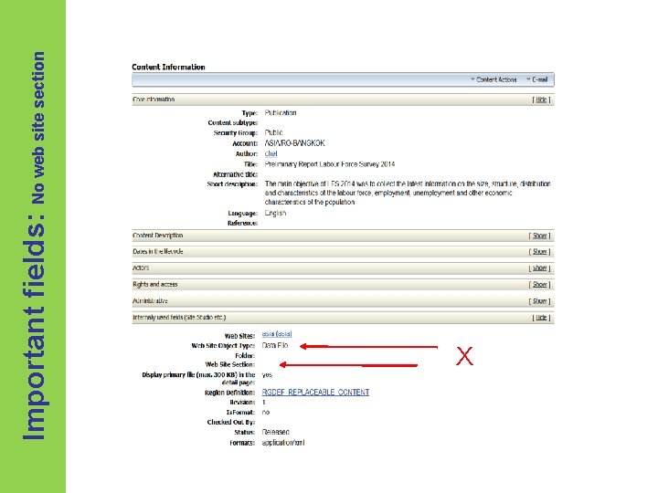 Important fields: No web site section X 