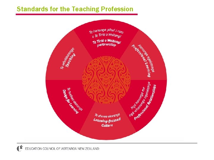 Standards for the Teaching Profession 