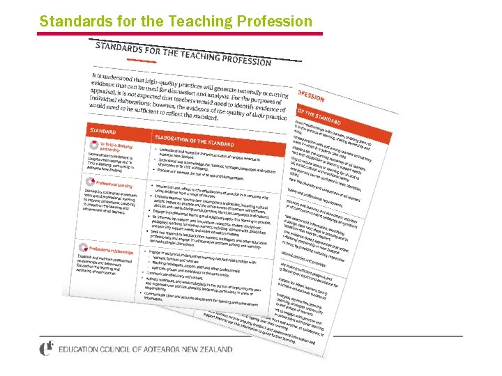 Standards for the Teaching Profession 