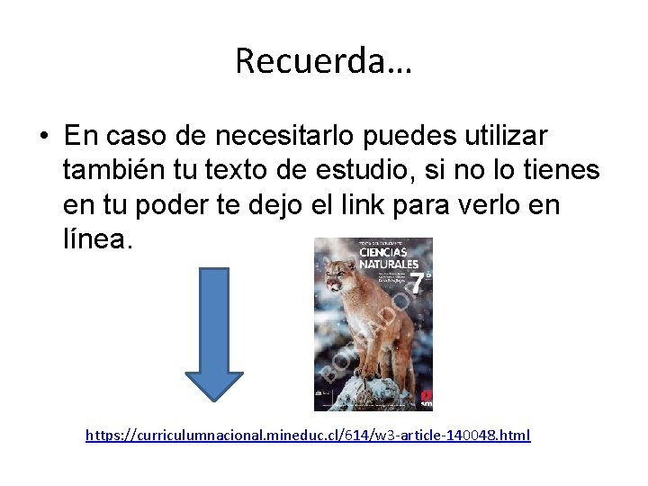 Recuerda… • En caso de necesitarlo puedes utilizar también tu texto de estudio, si