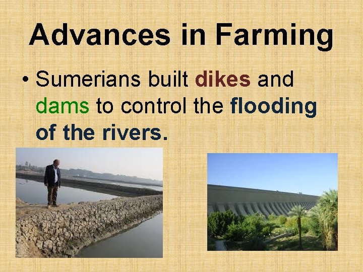 Advances in Farming • Sumerians built dikes and dams to control the flooding of