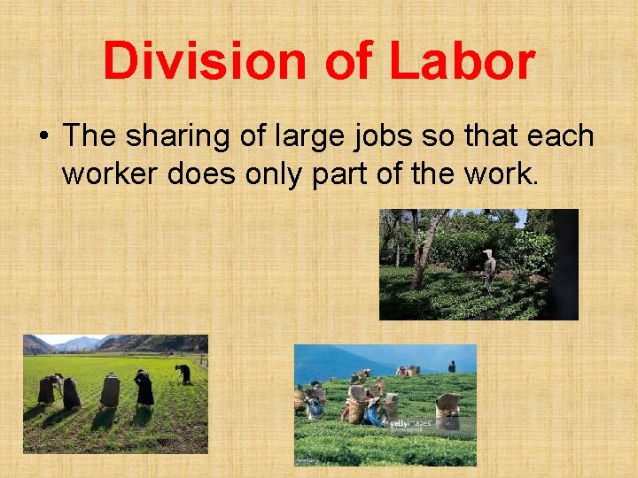 Division of Labor • The sharing of large jobs so that each worker does