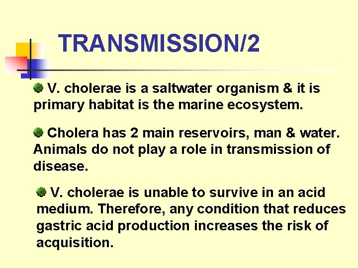 TRANSMISSION/2 V. cholerae is a saltwater organism & it is primary habitat is the