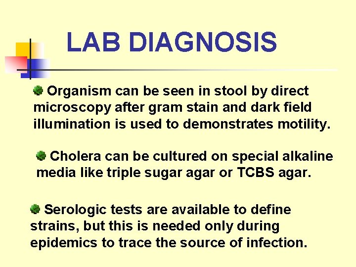 LAB DIAGNOSIS Organism can be seen in stool by direct microscopy after gram stain