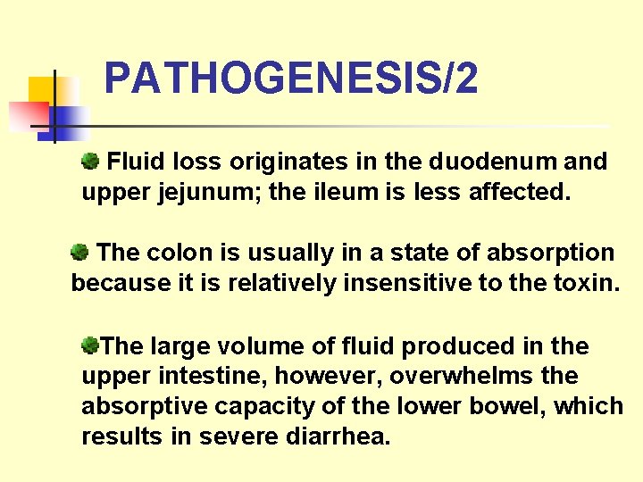 PATHOGENESIS/2 Fluid loss originates in the duodenum and upper jejunum; the ileum is less