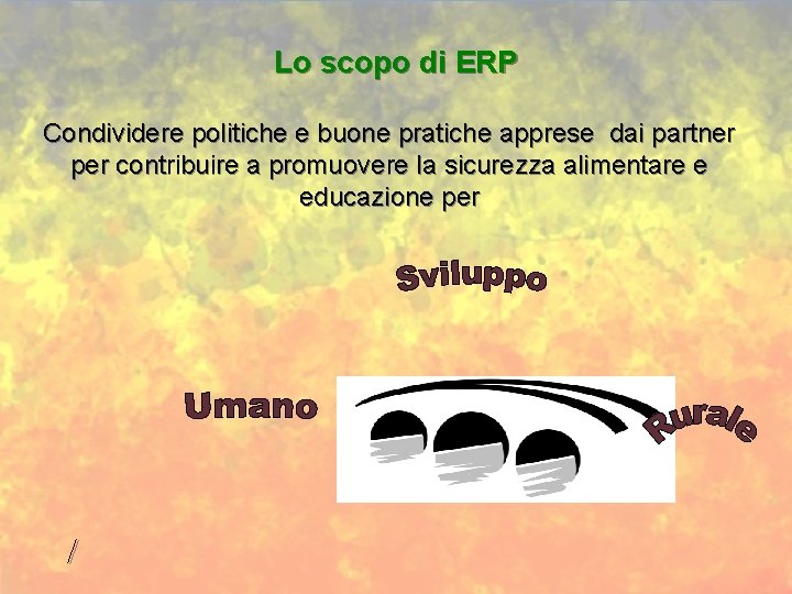 Lo scopo di ERP Condividere politiche e buone pratiche apprese dai partner per contribuire