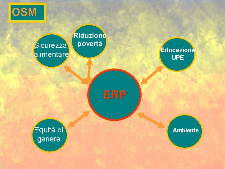 OSM Riduzione Sicurezza povertá alimentare Educazione UPE ERP Equitá di genere Ambiente 