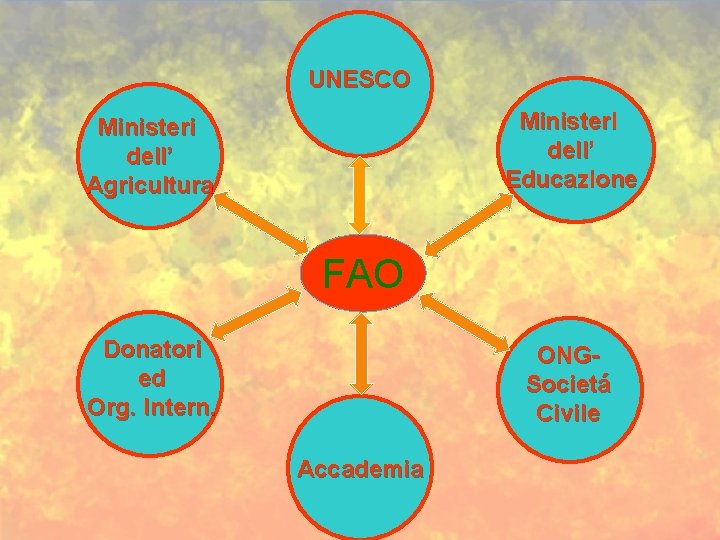 UNESCO Ministeri dell’ Educazione Ministeri dell’ Agricultura FAO Donatori ed Org. Intern. ONGSocietá Civile