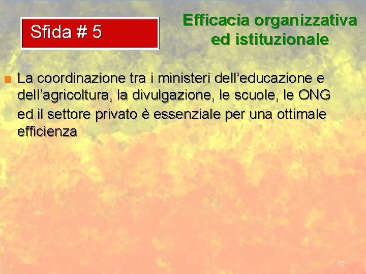 Sfida # 5 n Efficacia organizzativa ed istituzionale La coordinazione tra i ministeri dell’educazione