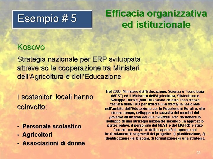 Esempio # 5 Efficacia organizzativa ed istituzionale Kosovo Strategia nazionale per ERP sviluppata attraverso