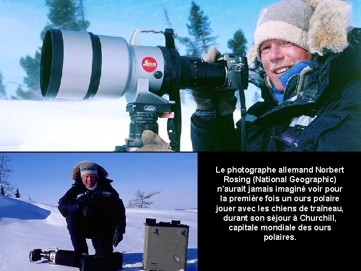 Le photographe allemand Norbert Rosing (National Geographic) n’aurait jamais imaginé voir pour la première