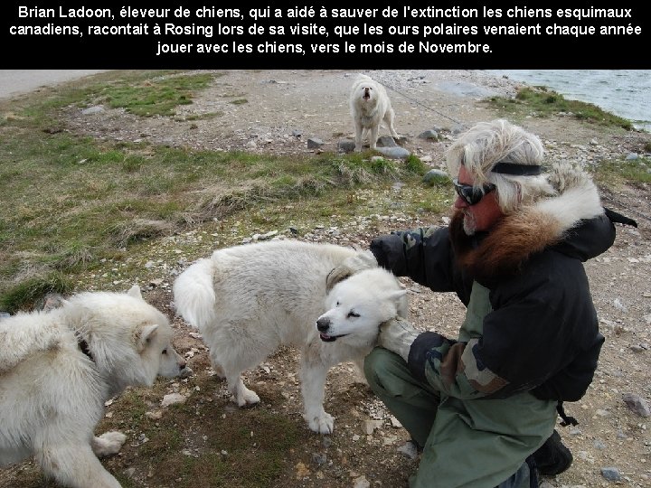 Brian Ladoon, éleveur de chiens, qui a aidé à sauver de l'extinction les chiens