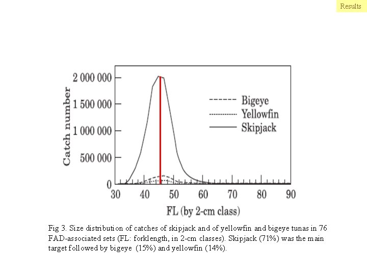 Results Fig 3. Size distribution of catches of skipjack and of yellowfin and bigeye