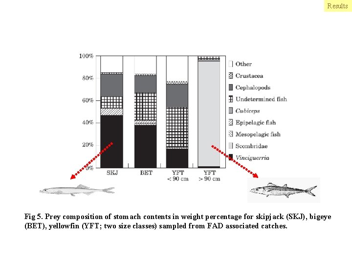 Results Fig 5. Prey composition of stomach contents in weight percentage for skipjack (SKJ),