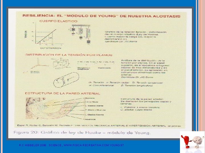 R. C HIBBELER 2006. SCIENCE , WWW. FISICA RECREATIVA. COM YOUNG 97 