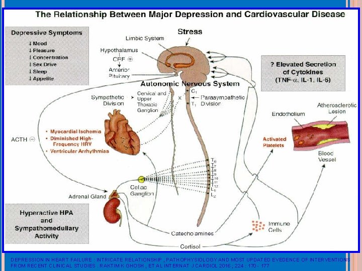 DEPRESSION IN HEART FAILURE : INTRICATE RELATIONSHIP , PATHOPHYSIOLOGY AND MOST UPDATED EVEDENCE OF