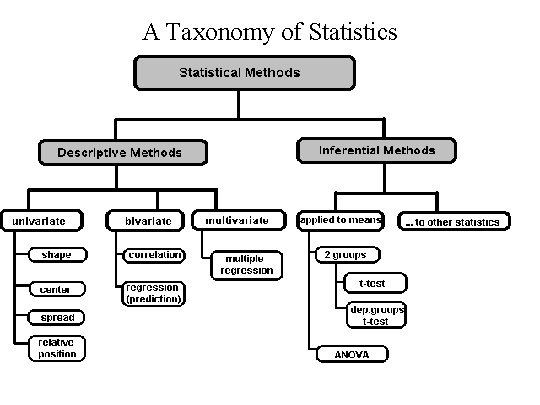 A Taxonomy of Statistics 