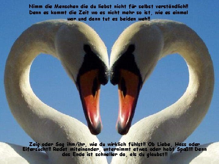 Nimm die Menschen die du liebst nicht für selbst verständlich!! Denn es kommt die