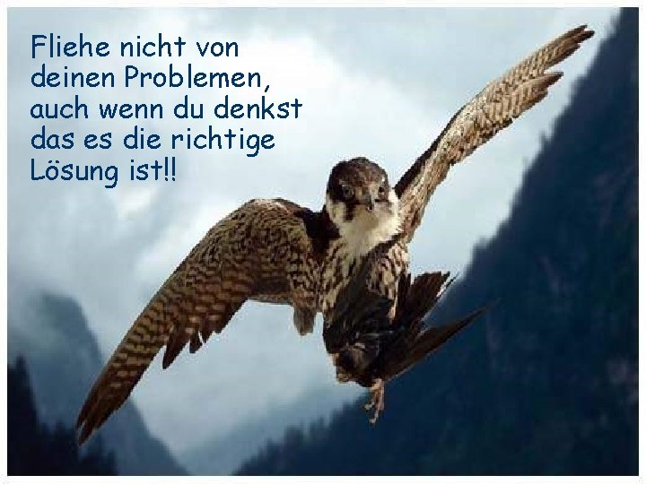 Fliehe nicht von deinen Problemen, auch wenn du denkst das es die richtige Lösung