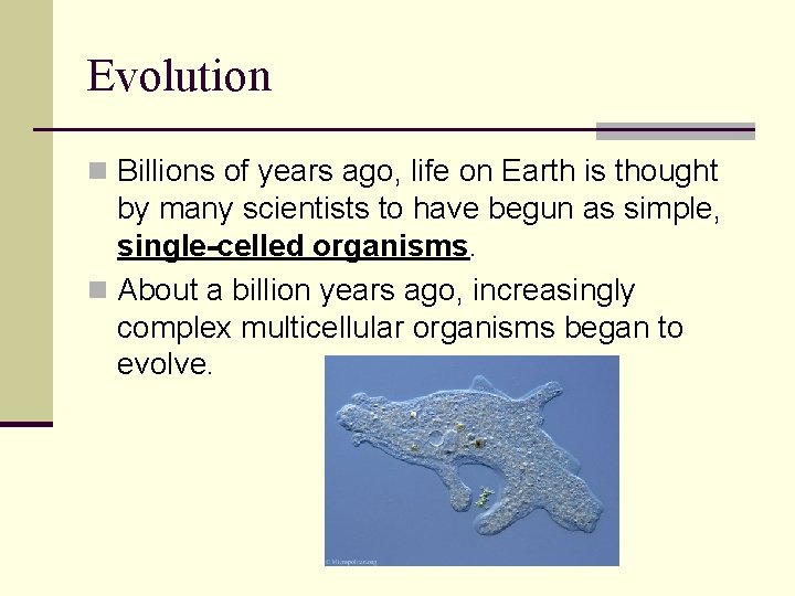 Evolution n Billions of years ago, life on Earth is thought by many scientists